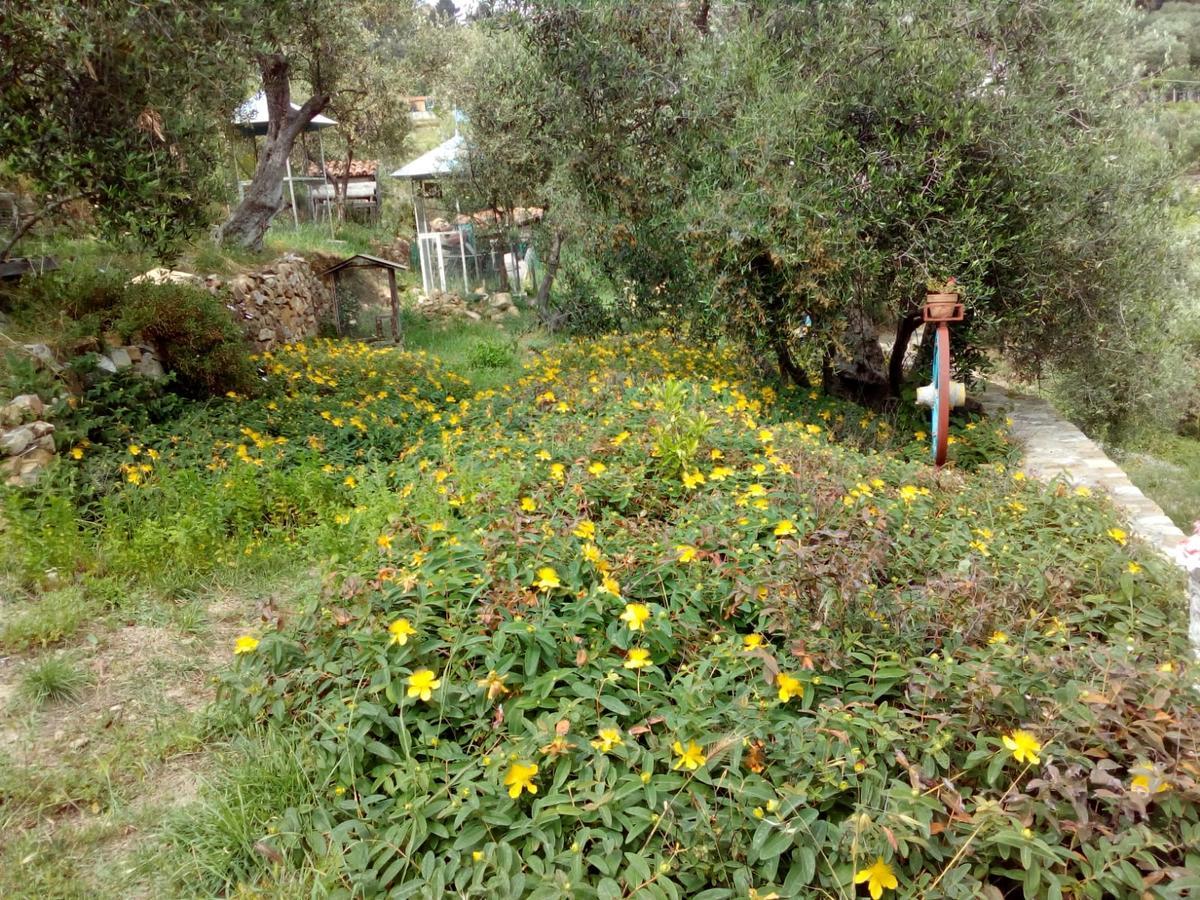 Villa Imperia Kültér fotó